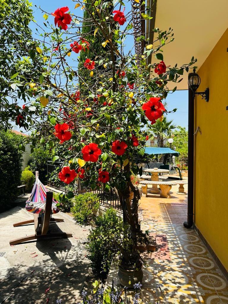 Villa Sicels - Agnone Beach - Syracuse Agnone Bagni Εξωτερικό φωτογραφία